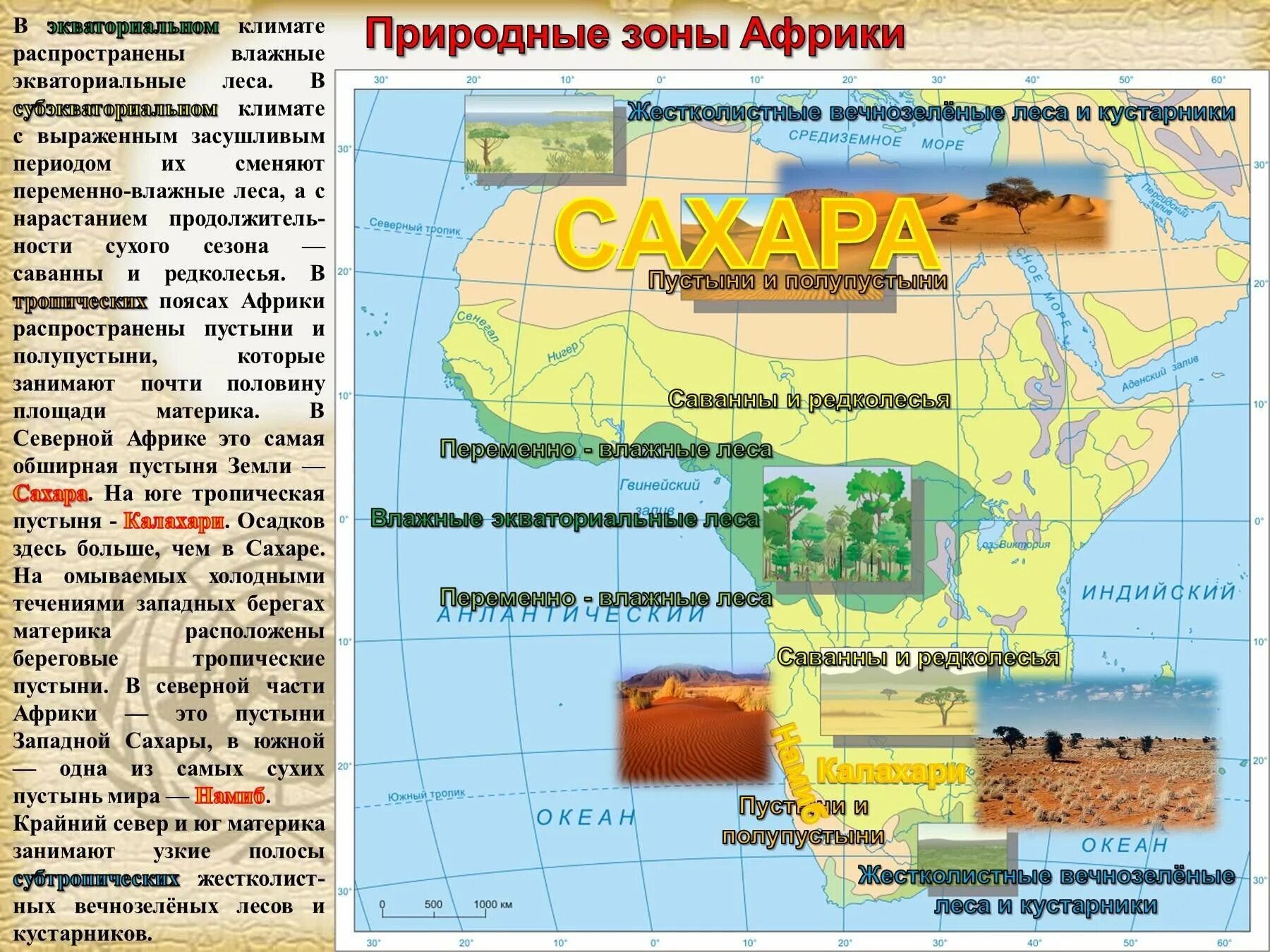 Какой объект омывает африку с северо востока
