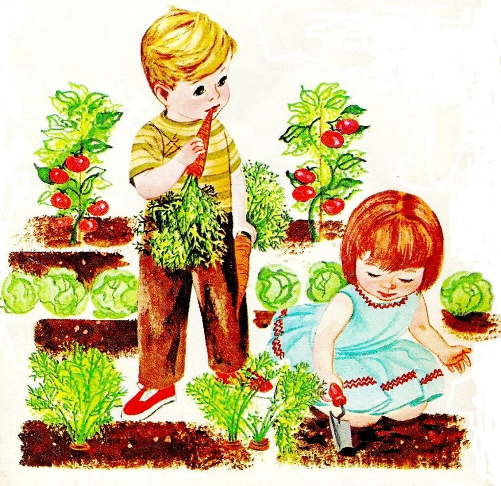 Огород для детей. Сюжетная картина огород. Огород для дошкольников. Посадка растений в детском саду.