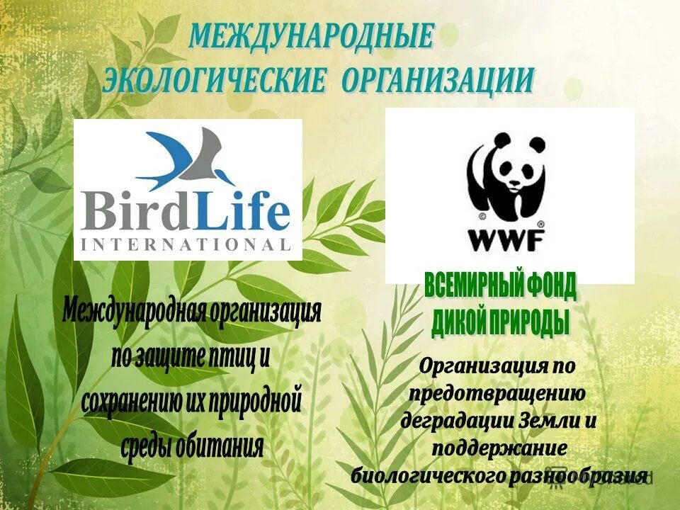 Работе международных экологических. Международные экологические организации. всемирные экологические организации. международная экологическая организация в россии. названия экологических организаций.