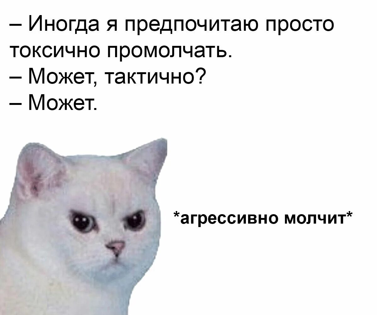 Агрессивно молчит. Агрессивно молчит кошка. Агрессивно молчит кот Мем. Агрессивные мемы. Молчание в трубку