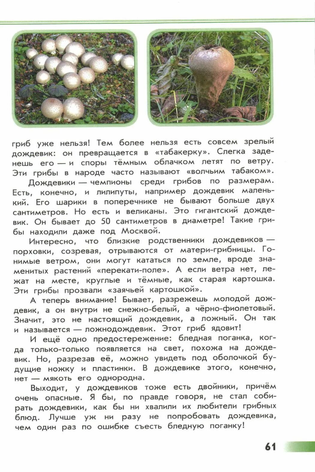 книга зелёные страницы коварные двойники грибы. рассказ зеленые страницы. его величество боровик зеленые страницы. зелённыестраницы про грибы. книга зеленые его величество боровик.