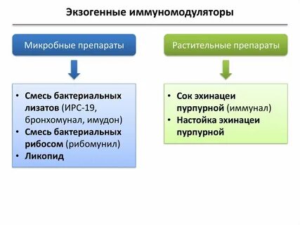 Иммуномодуляторы это простыми словами