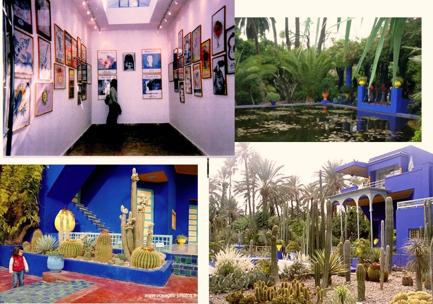 Марокко сады мажорель сен-лоран. Марокко сады мажорель сен-лоран. Ив сен лоран марокко сад мажорель. Дом ив сен лорана в марокко. Сад мажорель в марокко.