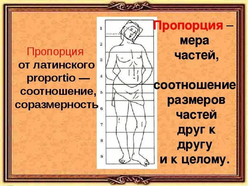 Соотношение частей. Пропорции человека. Соразмерность и пропорции. Соразмерность человека и архитектуры.