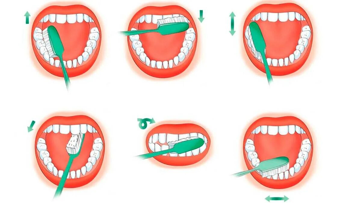 Когда лучше чистить зубы. Схема правильной чистки зубов. Правильная методика чистки зубов зубной щёткой. Схема как правильно чистить зубы. Как правильно чистить зубы картинки для детей.