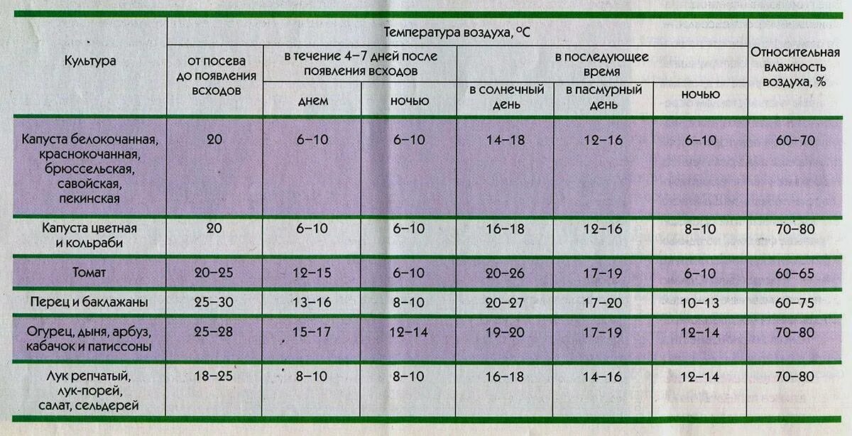 Минимальная температура для рассады томатов