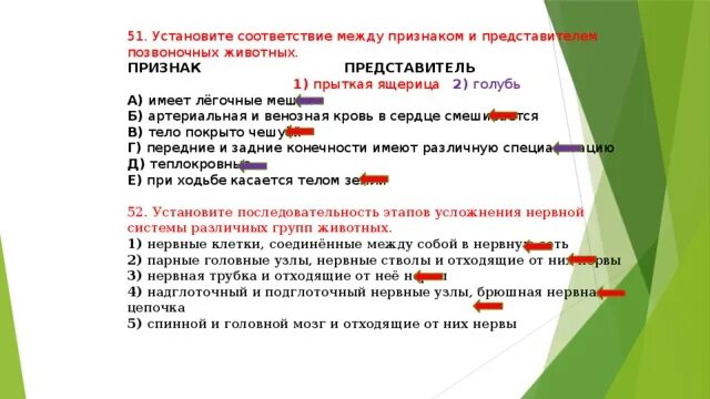 Установите соответствие между признаками и животными. Установите соответствие между признаком животным и классом. установите соответствие между признаком ящерицы и критерием. огэ биология хордовые задания.