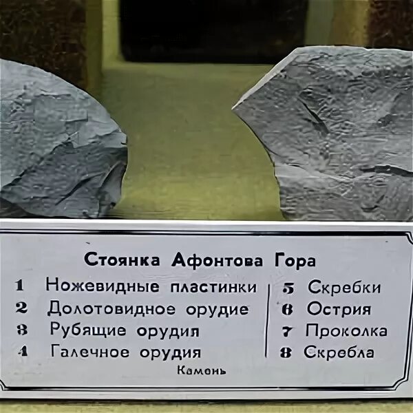 Стоянка на горе. Афонтова гора стоянка. древнейшая стоянка афонтова гора. афонтова гора стоянка древнего человека находки.