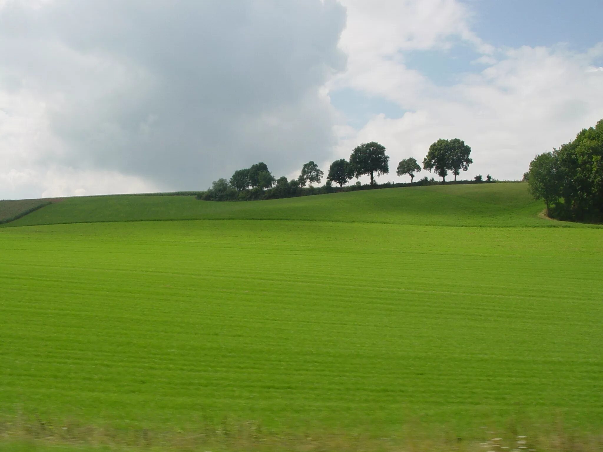 Холм с травой. Экскурсия grass. Обои Wavy grass. Grassy Hill.