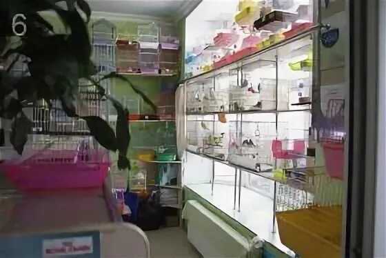 Зоомир петрозаводск. Самый большой зоомагазин. Зоомагазин животные. А соотимент хоомагазинов моздк. Зоомагазин лабинск.