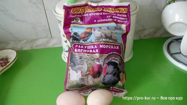 Как давать ракушку несушкам