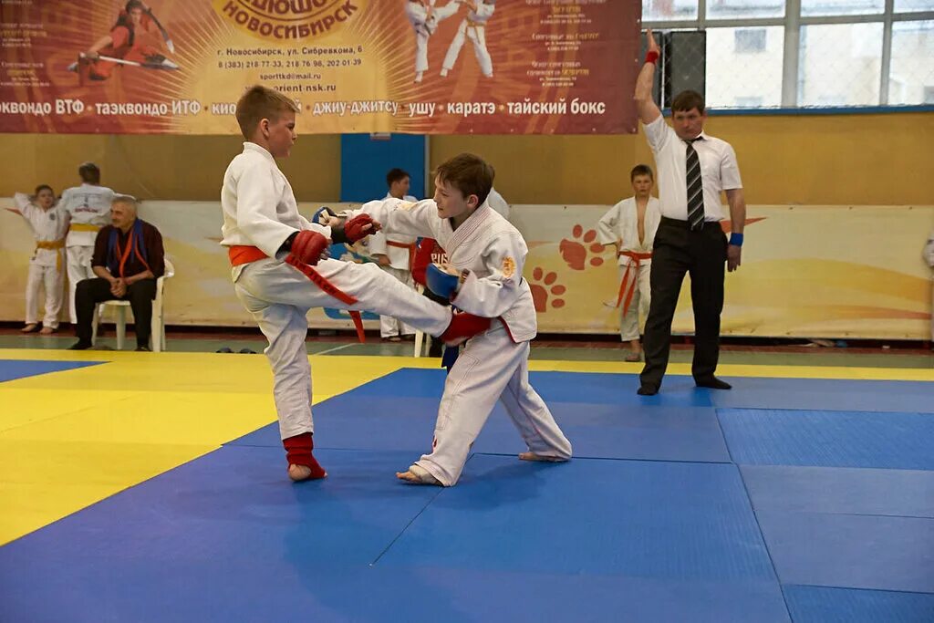 Боевые искусства новосибирск. Боевые искусства новосибирск. Гризли новосибирск единоборства. Tiger club белгород. Белые тигры новосибирск единоборства.