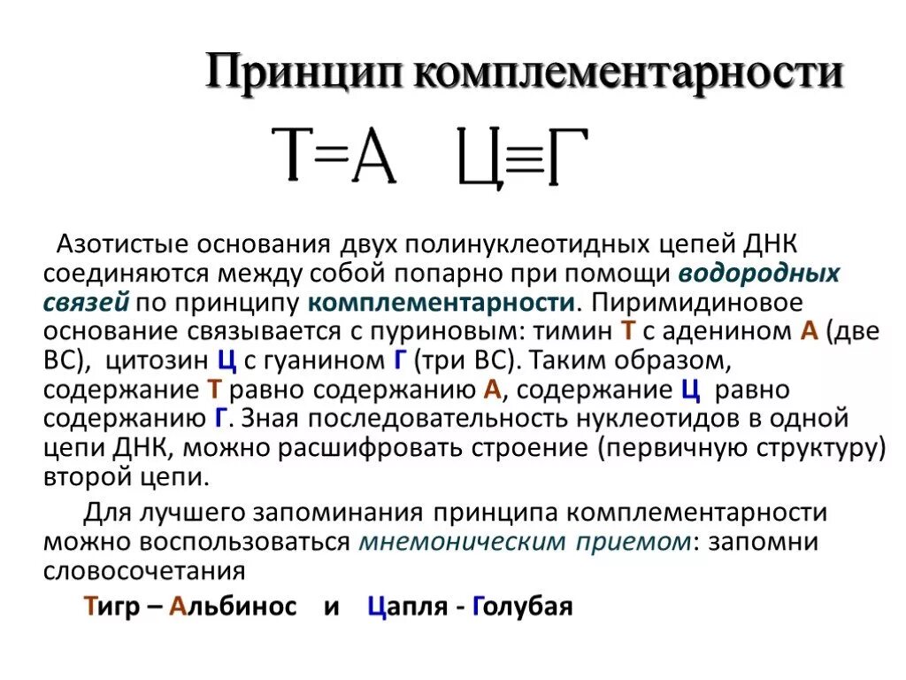 Комплиментарные днк. Принцип комплементарности ДНК И РНК. Принцип комплементарности нуклеиновых кислот. Принцип комплементарности от ИРНК К ДНК. Комплементарность нуклеотидов ДНК И РНК.