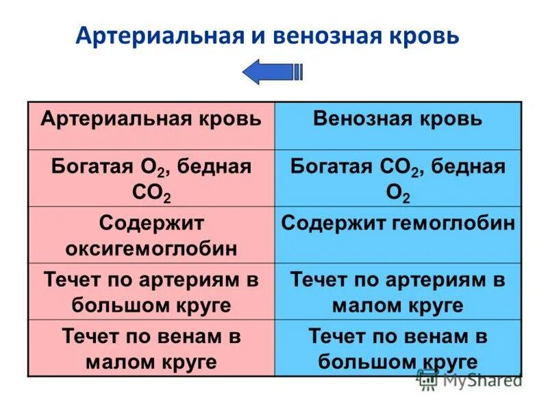 Особенность артериальной крови