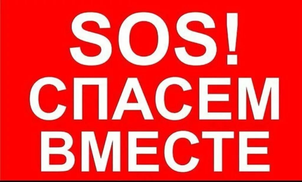Помоги спасти жизнь. Помогите спасти жизнь. сос сос сос. сос ситуация критическая. сос помогите спасти.