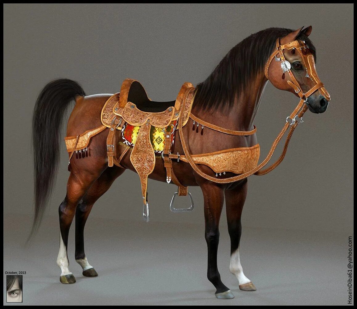 Horses model