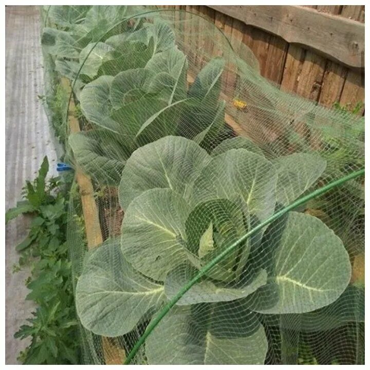 забор сетка рабица. сетка для забора тканевая. забор из сетки сварной оцинкованной 25х25. садовая решетка ячейка 33*33 20м (1*20) зеленая. решетка садовая 10*10 1м зеленая (агросетка-юг).