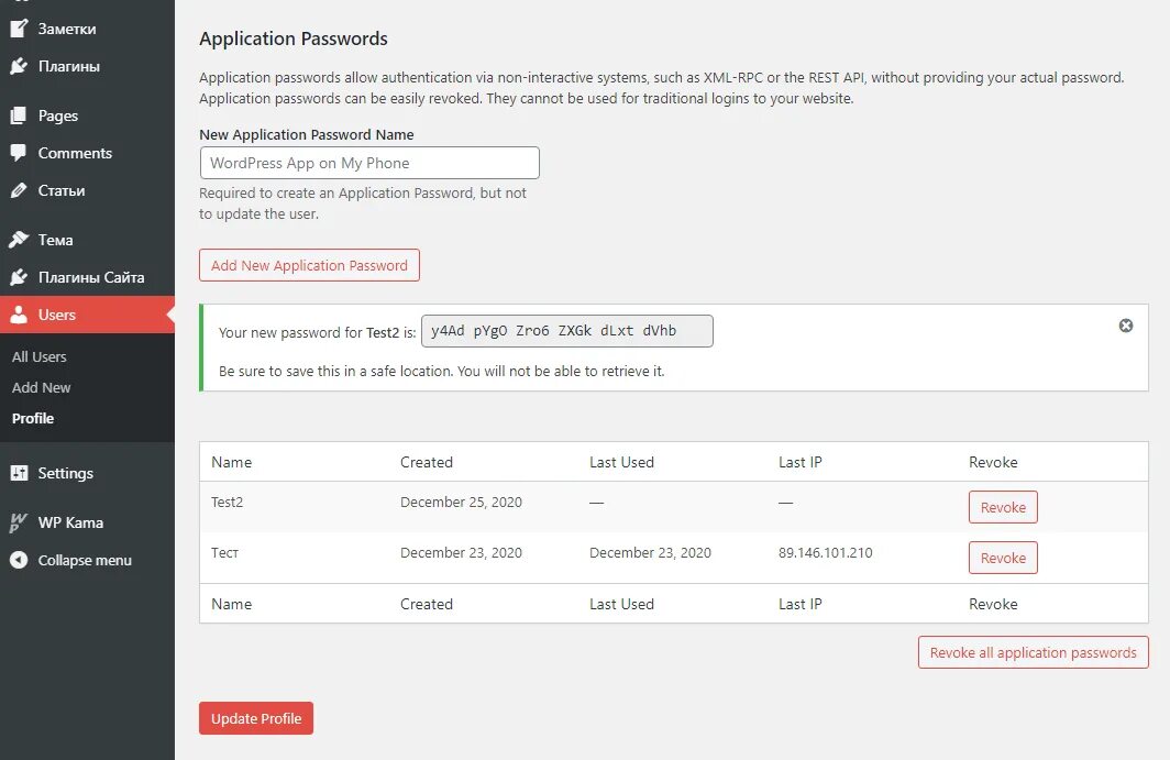 Password application. Авторизация по API Key.