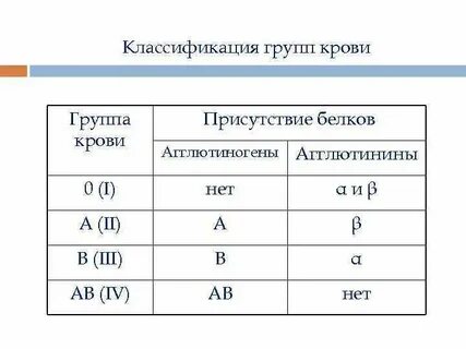 0 4 гр