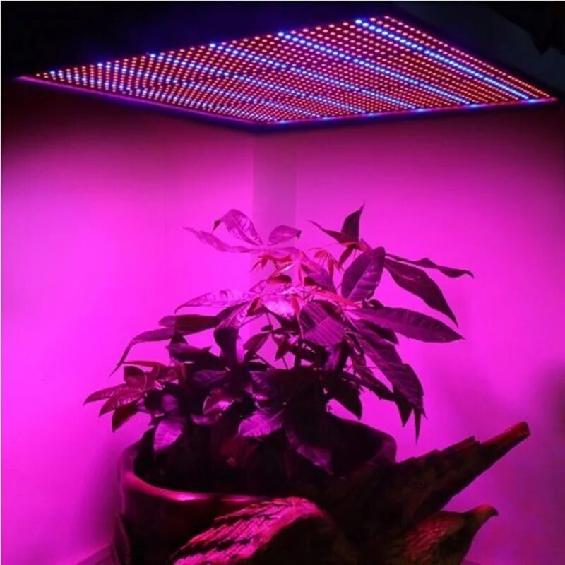 Красный свет для растений для чего. Лампа led grow Light. Светодиодная лампа для растений ALIEXPRESS led grow Light. Фитолампа для растений 30w 500 led. Led лампы для растений 600w 220v.