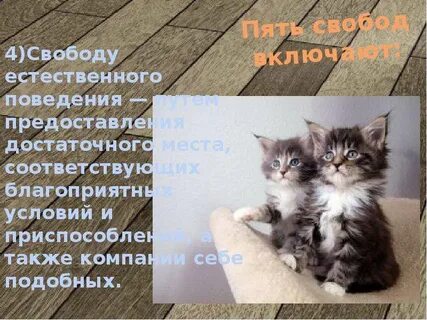 Восемнадцатью пятью