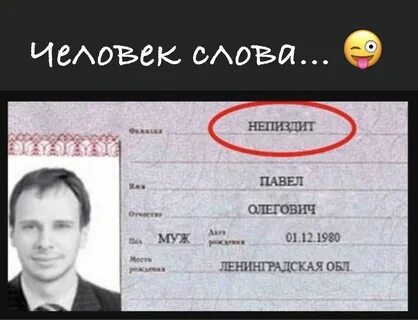 Пин от пользователя Igor Suprun на доске Белый кот Смешные детские цитаты, Весел