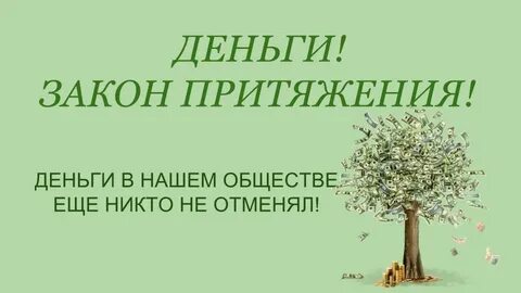 Богатство 9