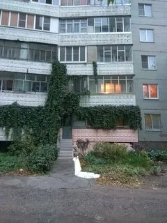 Ул димитрова 2
