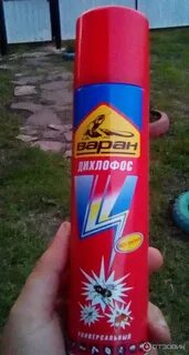 Опасен ли дихлофос