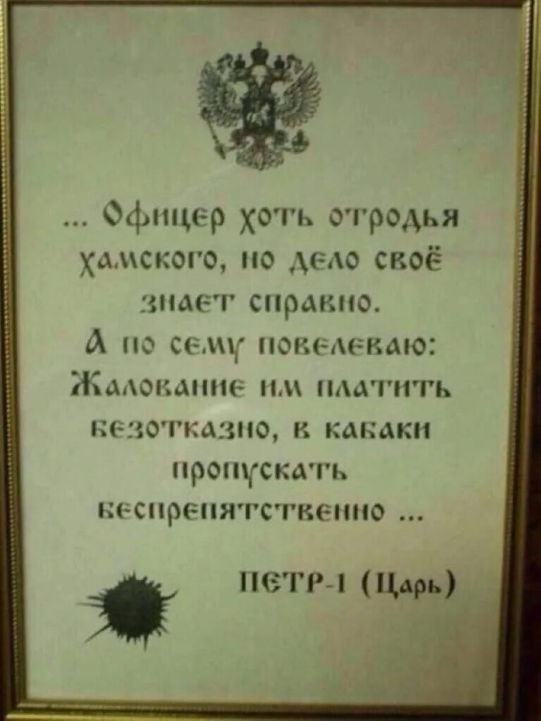 Указ Петра 1 офицеры народ. Указ Петра 1. Указ Петра первого об офицерах. Смешные указы Петра.