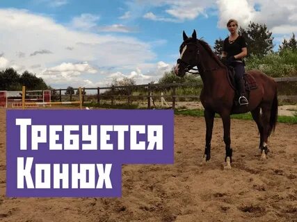 Работа конюхом
