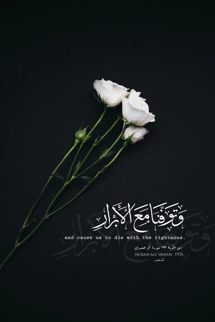 New Wallpapers Land in Ubuntu 12.10. Black wallpaper, Black and white flowers, W