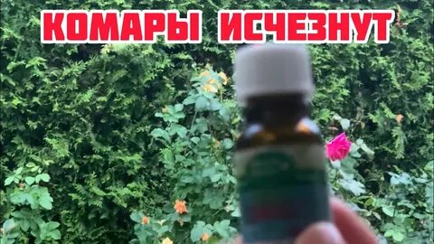 Какого запаха боятся комары