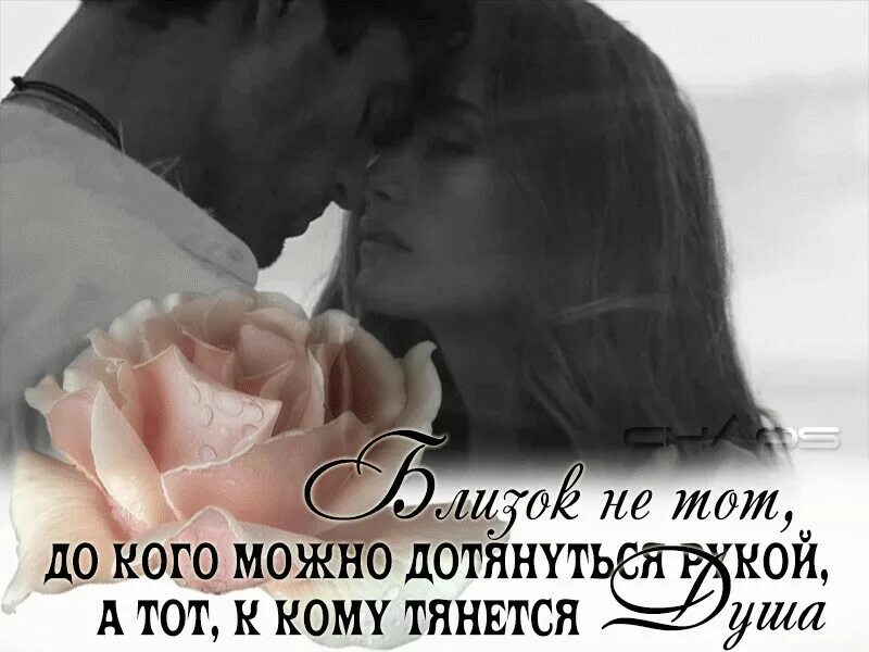 Люби меня нежно люби как ты хочешь. Нежно обниму стихи. обнимаю тебя душой и сердцем. обниму тебя нежно стихи. стихи о нежных объятьях.