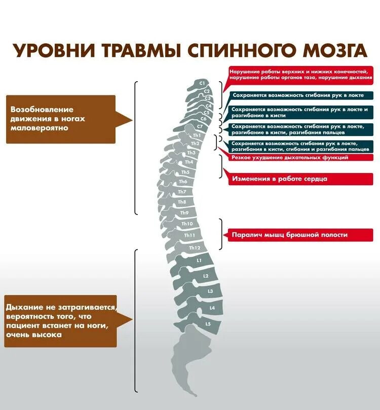 Спинальная нестабильность что это. Разрыв спинного мозга уровень. Травматические повреждения спинного мозга. Травма позвоночника с повреждением спинного мозга. Отделы спинного мозга шейный спинной.