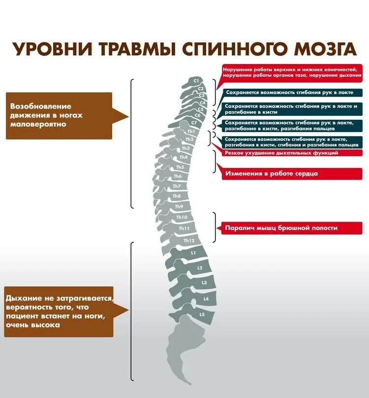 Результате нарушений его работы