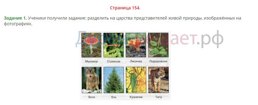 Стр 154 окружающий мир 4 класс. Стр 154 окружающий мир 3 класс 1 часть. окружающий мир 3 класс 1 часть окружающий мир страница 154. учебник окружающий мир 3 класс плешаков 1 часть стр 154. учебник 3 класс окруж мир стр 154.