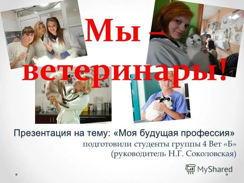 Презентация на тему "Профессия ветеринар"
