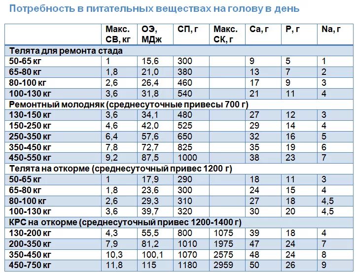 Рацион молодняка. Нормы кормления молодняка крс. рацион кормления ремонтного молодняка крс. нормы кормления молодняка крс на откорме таблица. нормы кормления ремонтного молодняка крс.