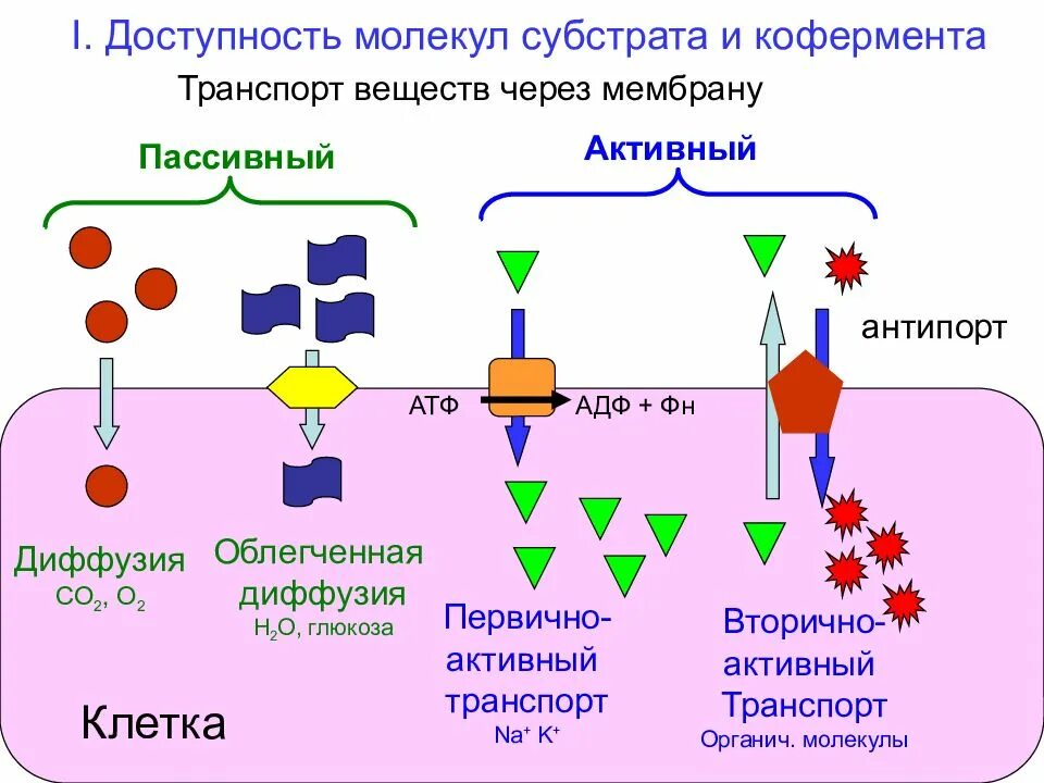Клеточный транспорт. Мембранный транспорт активный и пассивный. пассивный транспорт веществ через биологическую мембрану. пассивный транспорт веществ через клеточную мембрану. активный и пассивный транспорт через мембрану.