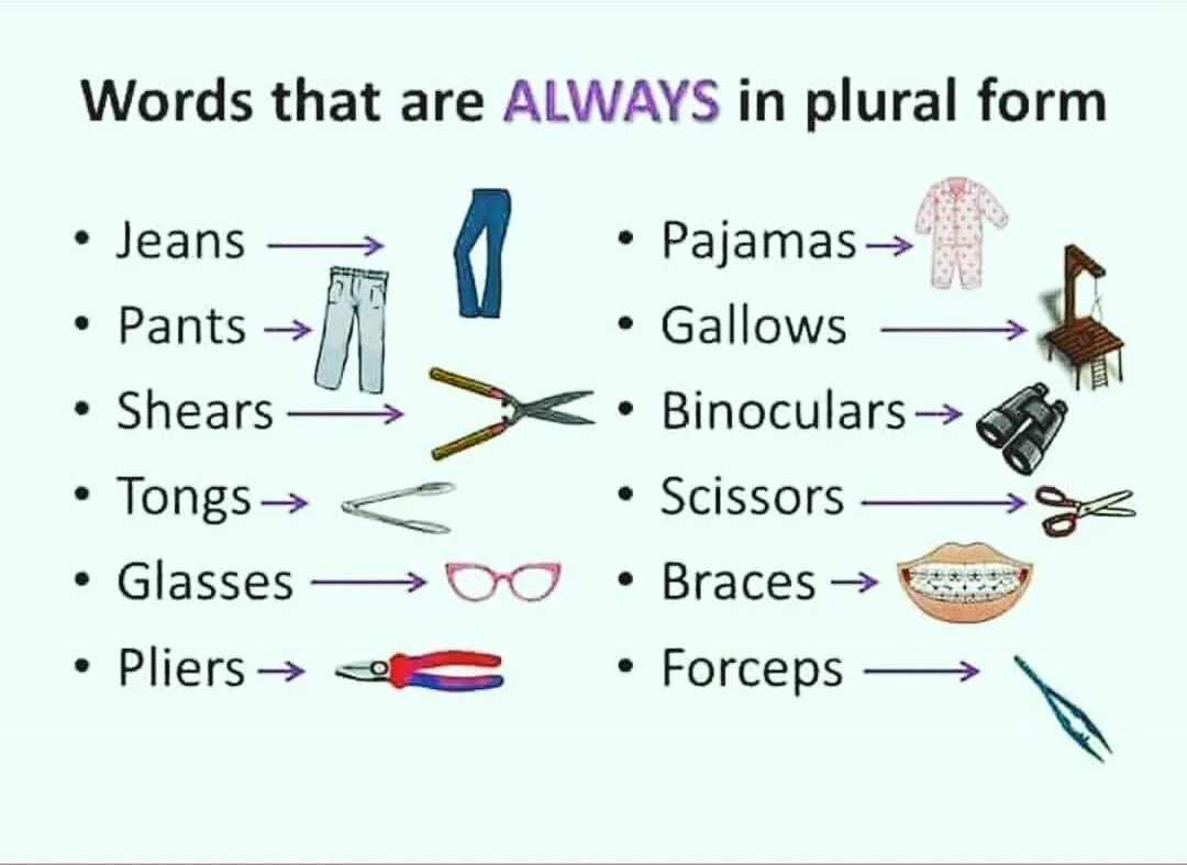 Our is not the only life form. Plural form. Таблица plural form. Plural произношение. Plural Words.