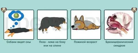 Собака дышит как будто задыхается