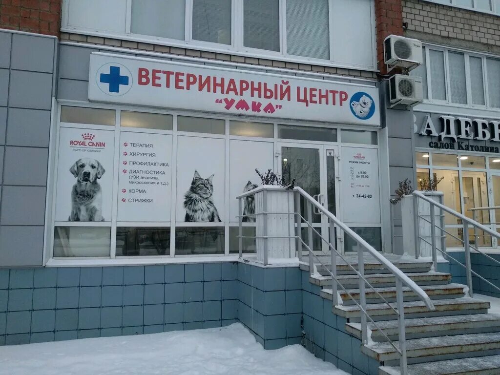 Ветклиника ижевск умка. Ветлечебница умка. Умка набережные челны ветклиника. Умка ветеринарная клиника. Умка ветеринарная клиника челябинск.