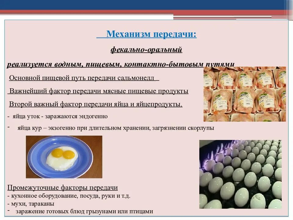 Фактором передачи сальмонеллеза является. Фекально-оральный механизм передачи инфекции. Фекально-оральный механизм передачи реализуется. Фекально-оральный механизм передачи инфекции реализуется. Основные факторы передачи сальмонеллеза.