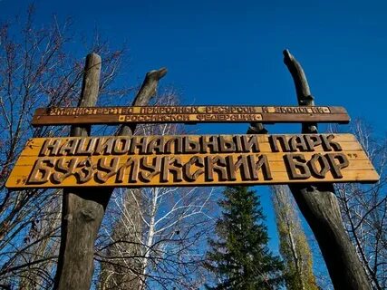 Бузулукский бор разрешение