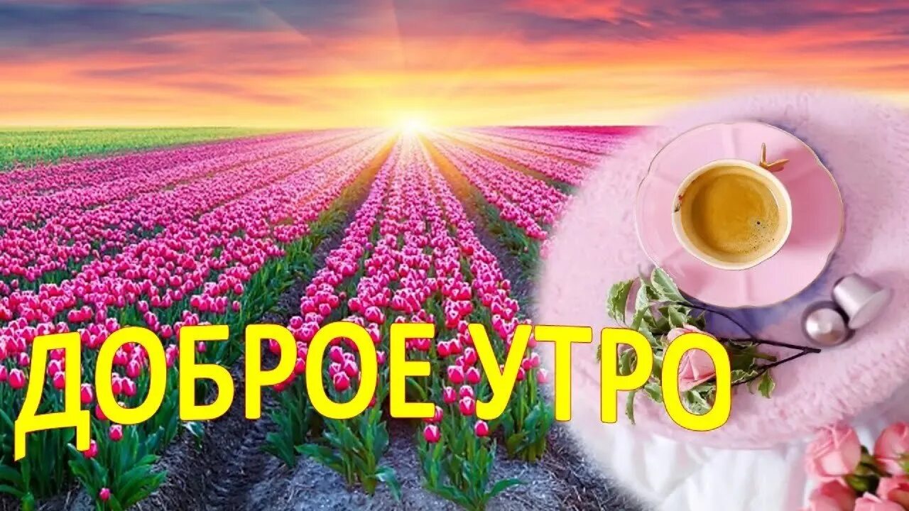 Открытки с добрым утром. Открытка приятного утра и дня. Открытки с добрым утром красивые. Добрые пожелания. Открытки хорошего летнего дня.