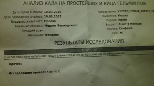 Анализ кала образец бланка. До скольки сдают анализы кала в поликлинике. Анализ испражнений норма. Анализ кала собаки норма. До скольки сдают анализы кала в поликлинике.