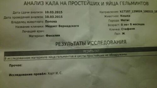 Анализ кала на простейшие. Анализ кала на гельминты. Исследование кала на простейшие и яйца гельминтов. Анализ на яйца глистов и простейшие. Как сдают анализ на яйца глистов ребенку