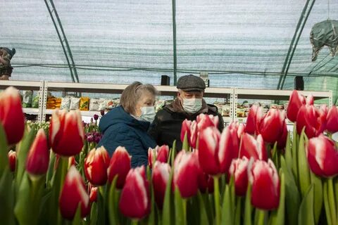 Зеленый остров псков неелово