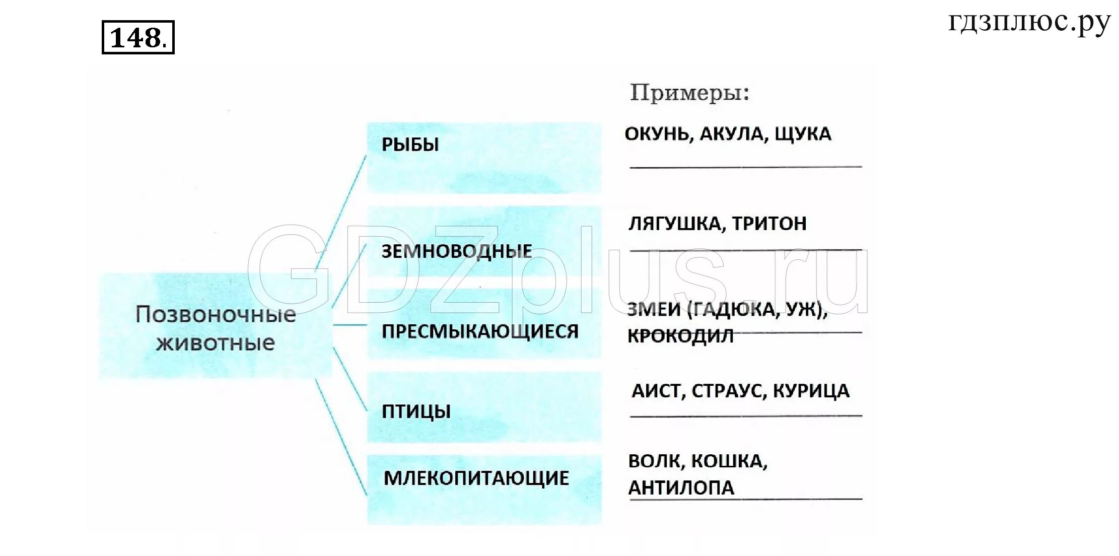 Пересказ биология 5 класс параграф 14. Биология 5 класс. Таблица по биологии 5 класс. Правила по биологии 5 класс в таблицах. Таблица правил по биологии 5 класс.